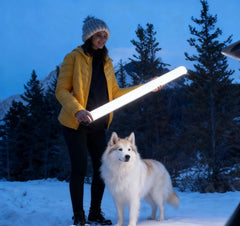 Person holding a glowing light tube with a dog in a snowy landscape