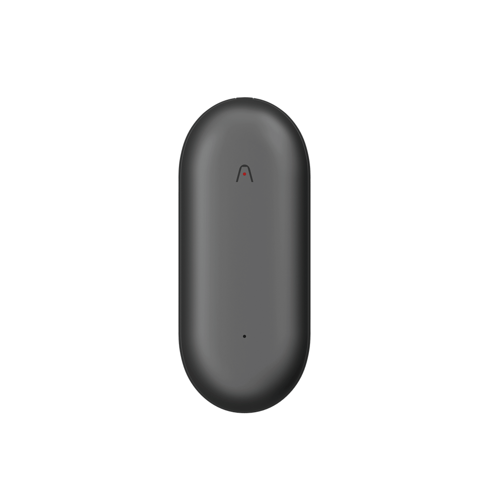 Black oval-shaped device with a Plaud logo on a white background