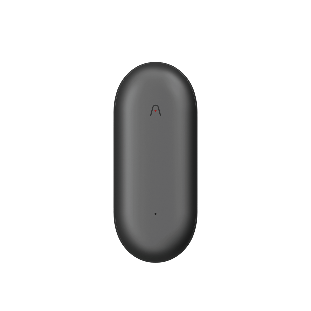 Black oval-shaped device with a Plaud logo on a white background