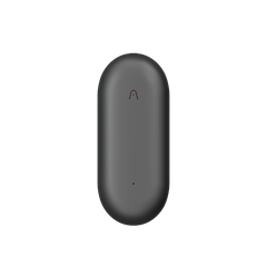Black oval-shaped device with a Plaud logo on a white background