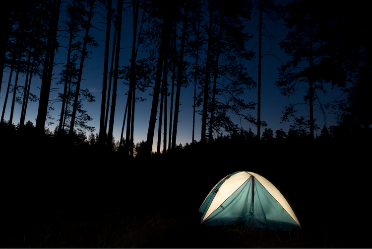 Tent illuminated in a dark forest at night with air pump light tube